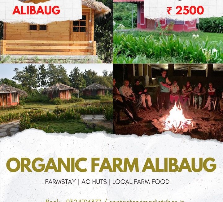 Alibaug Farm stay